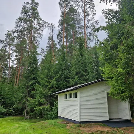 Liivakortsi Kaemping *