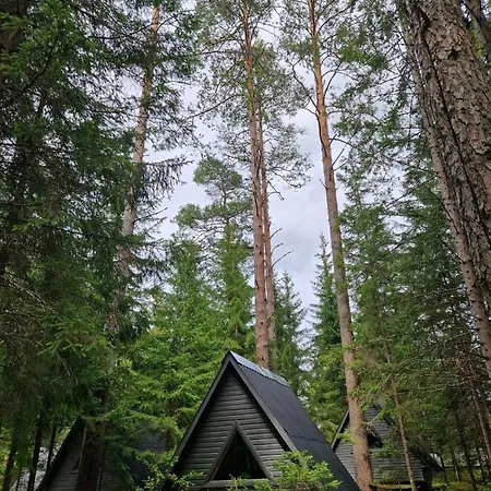 Campsite Liivakortsi Kaemping Romeda
