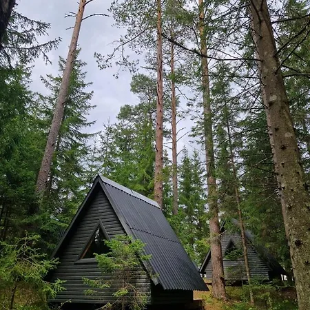 Campsite Liivakortsi Kaemping *