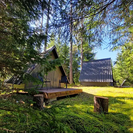Liivakortsi Kaemping *