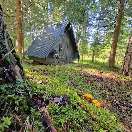 Liivakortsi Kaemping Campsite *