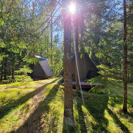 Liivakortsi Kaemping *