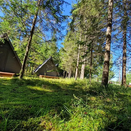 Liivakortsi Kaemping Romeda